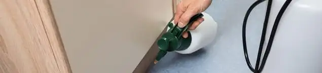 Bed bug exterminator treating baseboards and cracks with targeted spray in Indianapolis, IN