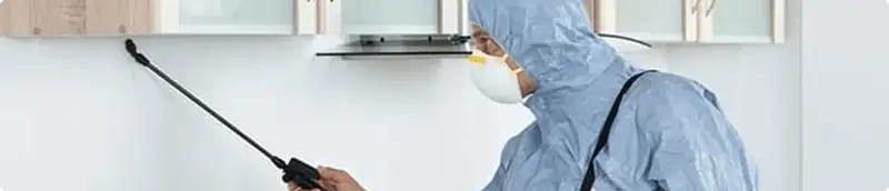 Pest control technician spraying along baseboards for indoor pest treatment in Indianapolis, IN