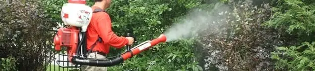 Mosquito control technician fogging shrubs and landscaping for mosquito treatment in Indianapolis, IN