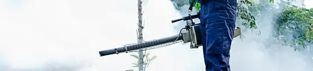 Pest control technician fogging an outdoor area for insect control in Indianapolis, IN