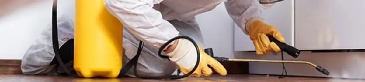 Roach exterminator treating cracks and crevices along kitchen baseboards in Indianapolis, IN