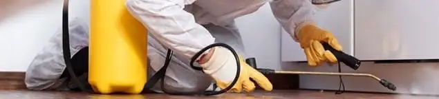 Roach exterminator treating cracks and crevices along kitchen baseboards in Indianapolis, IN