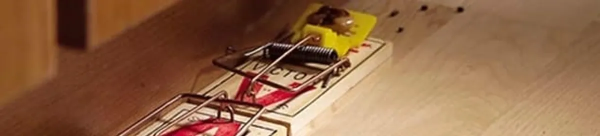 Rodent trap set indoors for rodent control and prevention in Indianapolis, IN