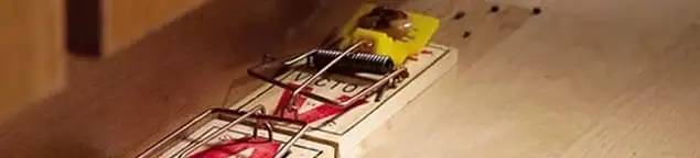Rodent trap set indoors for rodent control and prevention in Indianapolis, IN