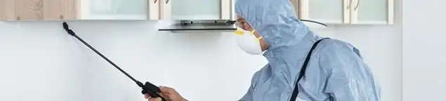 Termite treatment technician applying indoor pest control spray in Indianapolis, IN